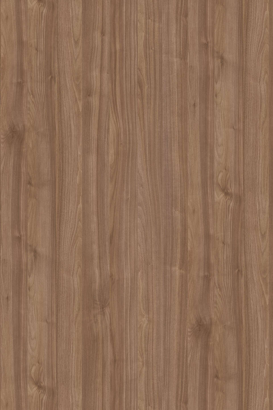 Panneau Melaminé K009 PW Dark Walnut Oak 19mm 280x207cm