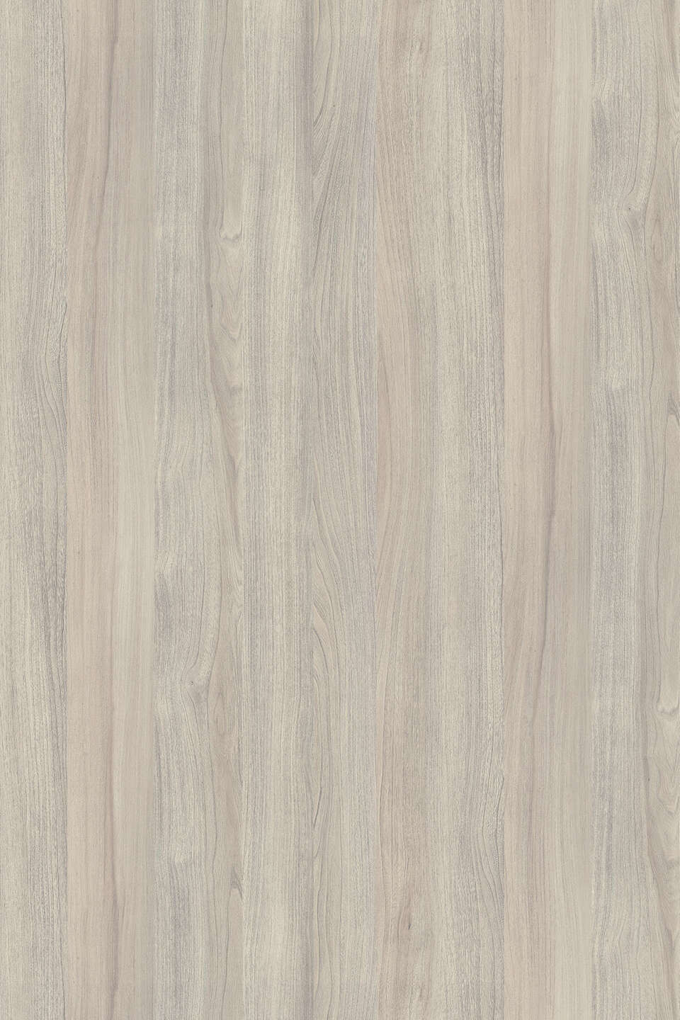 Panneau Melaminé K019 PW Silver Liberty Elm 19mm 280x207cm