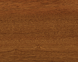 Sapelli bois exotique 
