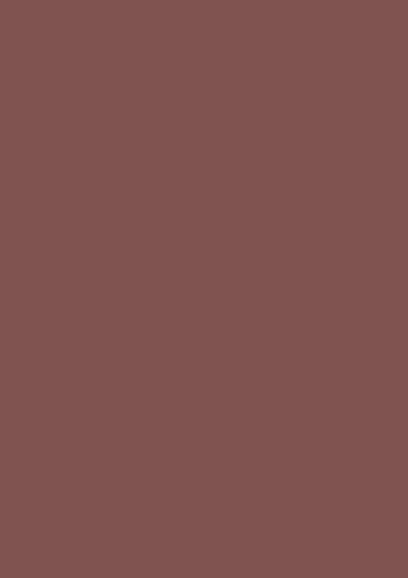 Stratifie U335 ST9 Rouge Oxyde 0.8mm 305x131cm